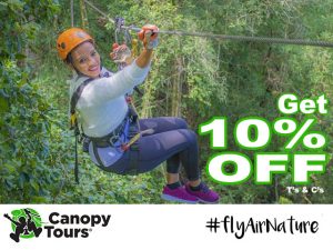 Get 10% Off on Your Next Tsitsikamma Canopy Tour