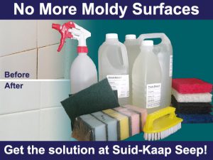 Cleaning Solution for Moldy Surfaces in George