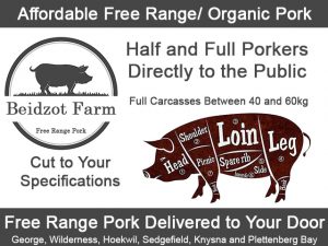 Free Range Pork Directly to the Public