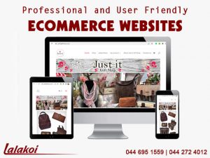 Professional and User Friendly Ecommerce Website