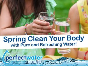 Purified Water and Purifying Systems in George